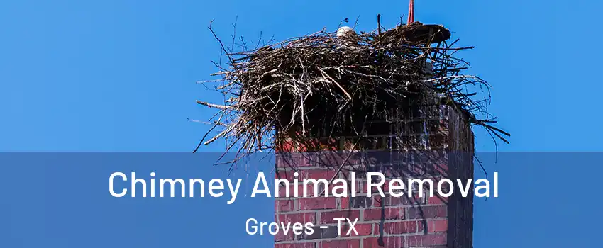 Chimney Animal Removal Groves - TX