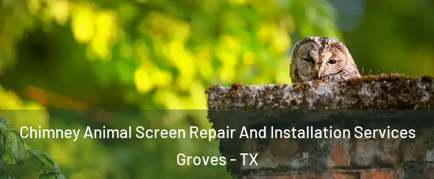 Chimney Animal Screen Repair And Installation Services Groves - TX