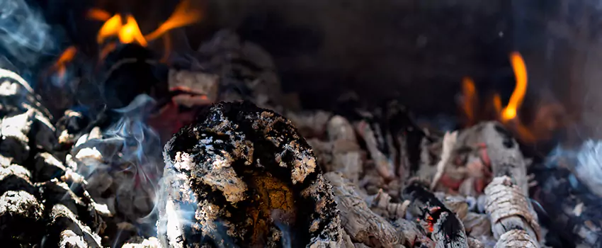 Creosote Removal Experts in Groves, TX